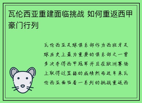 瓦伦西亚重建面临挑战 如何重返西甲豪门行列